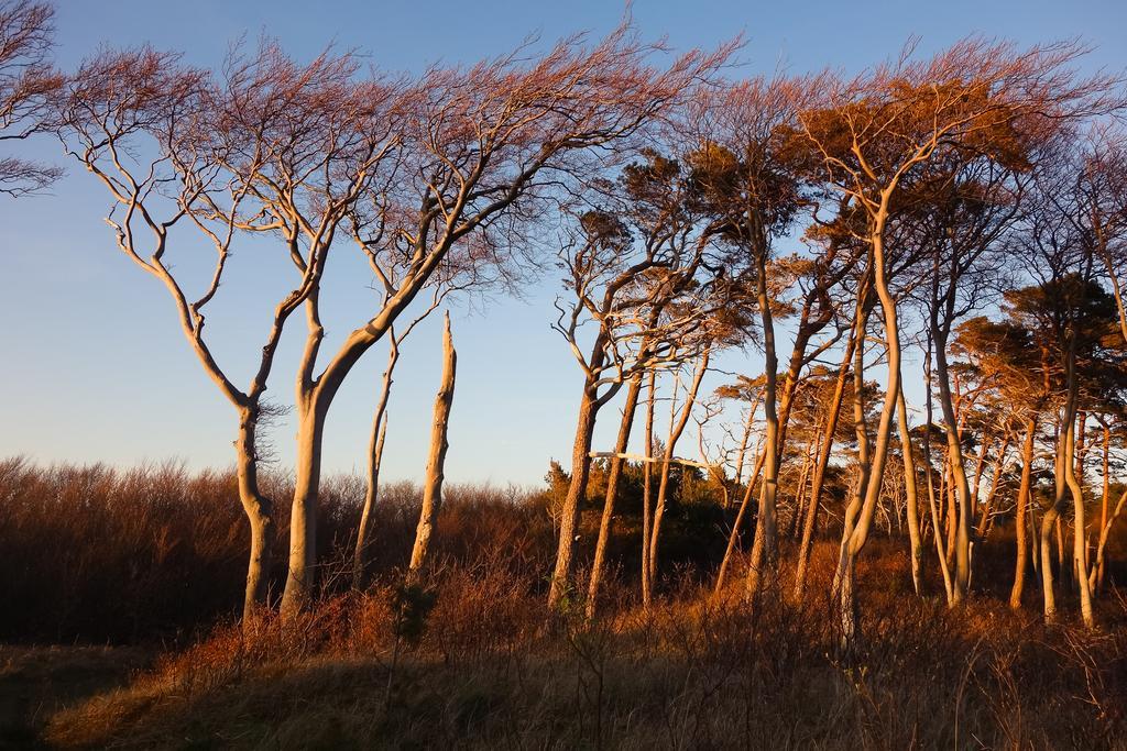 Hotel Garni Am Deich Zingst Esterno foto