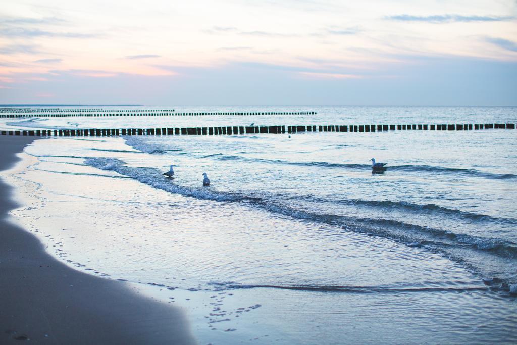 Hotel Garni Am Deich Zingst Esterno foto
